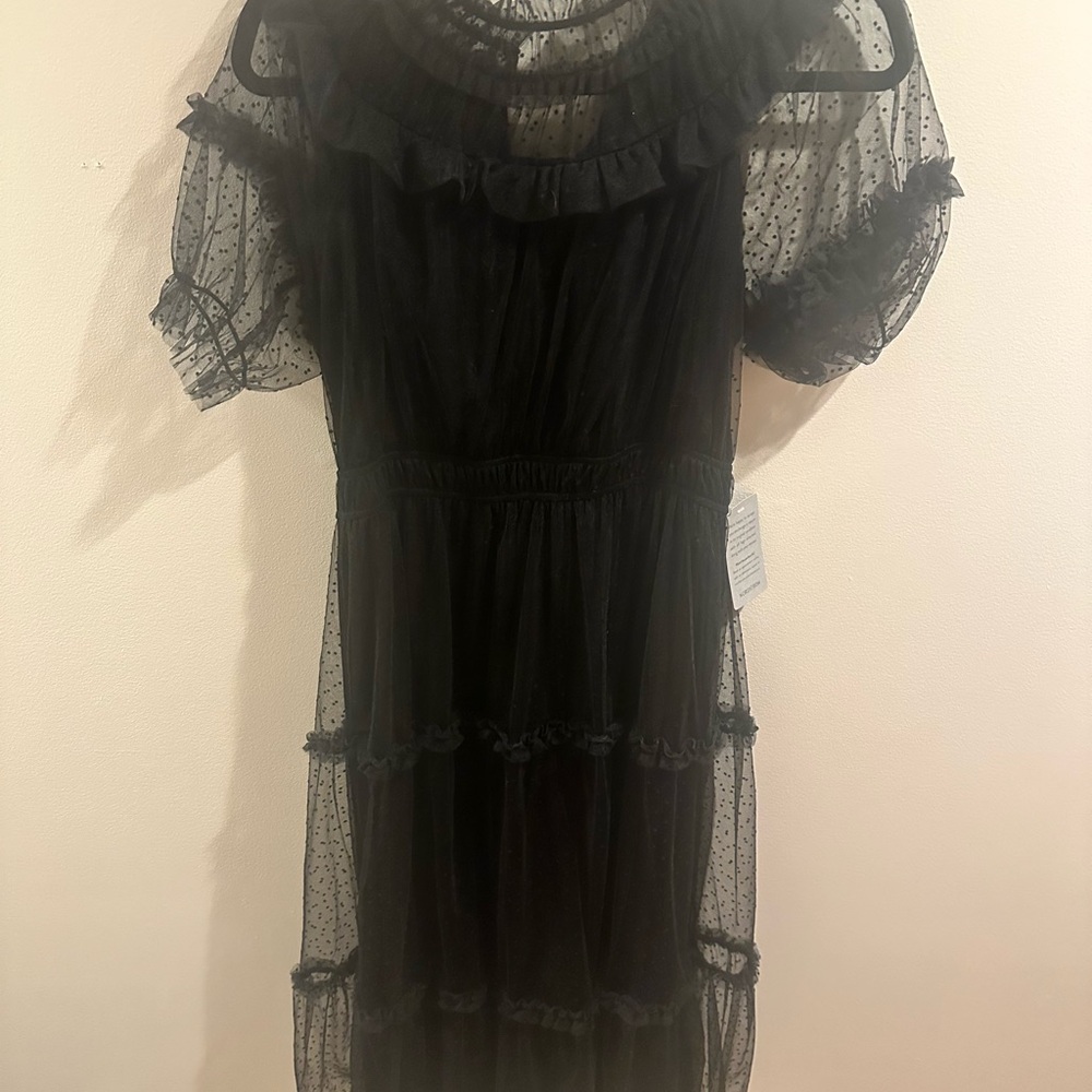 Lush Black Sheer Ruffled Midi Dress